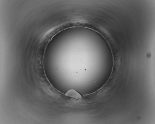 X0000113991112200910021216