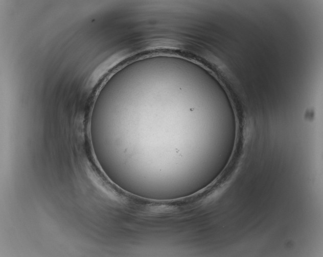 X0000113991113200910021216