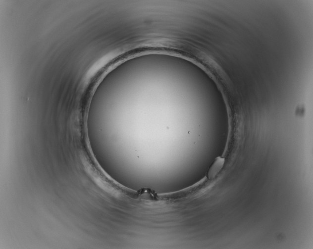 X0000113991114200910021216