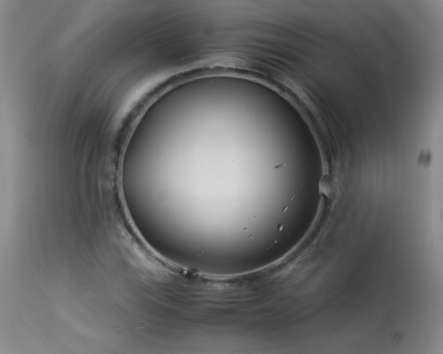 X0000113991115200910021216