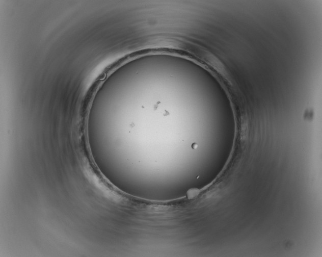 X0000113991116200910021216