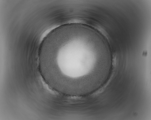 X0000113991117200910021216