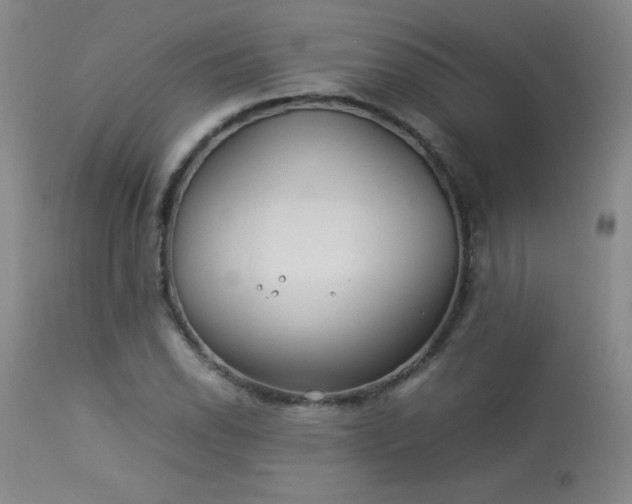 X0000113991118200910021216