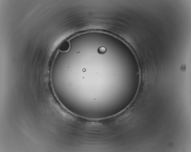 X0000113991119200910021216