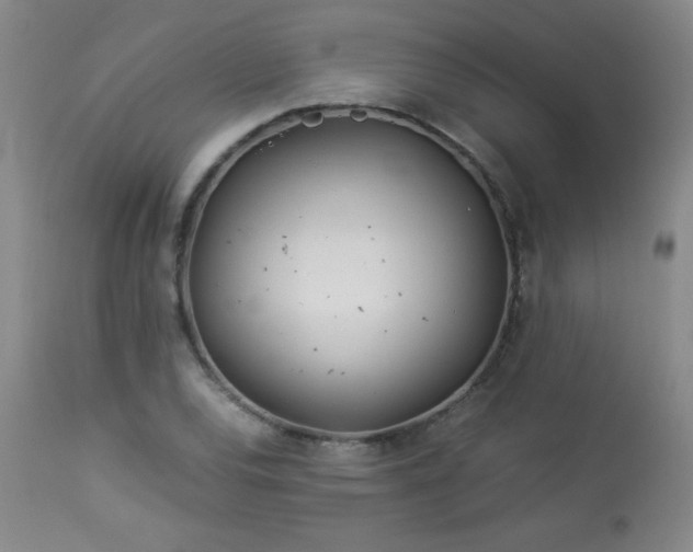 X0000113991120200910021216