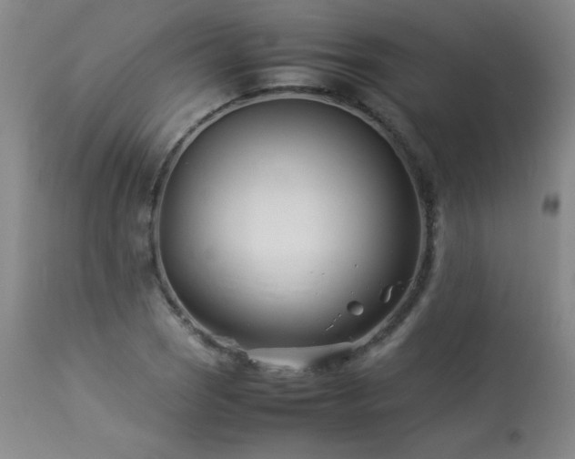 X0000113991121200910021216