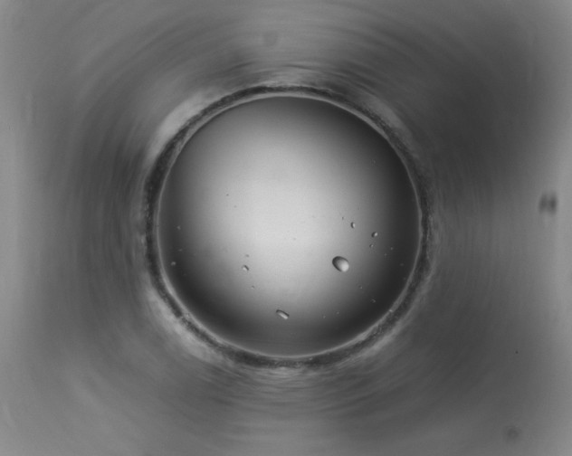 X0000113991122200910021216