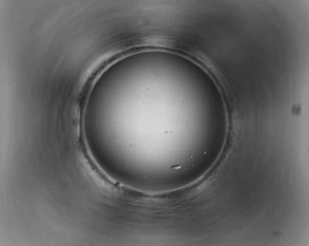 X0000113991123200910021216