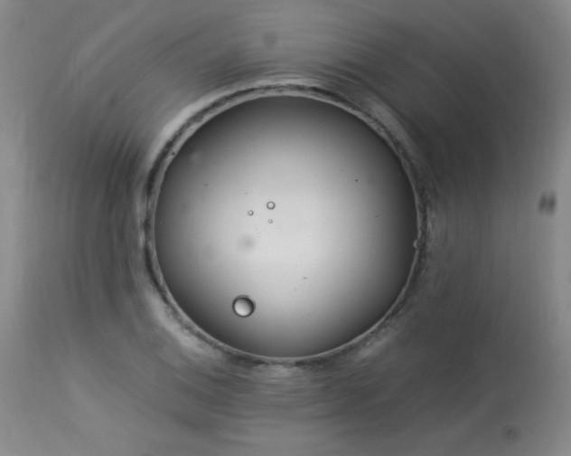 X0000113991124200910021216