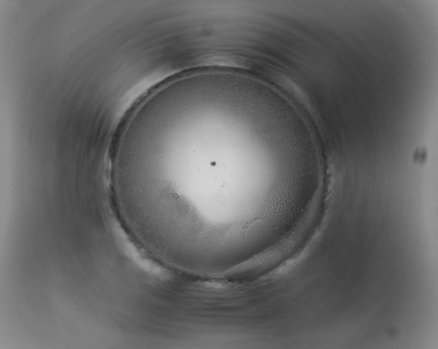 X0000113991125200910021216