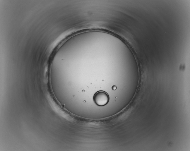 X0000113991126200910021216