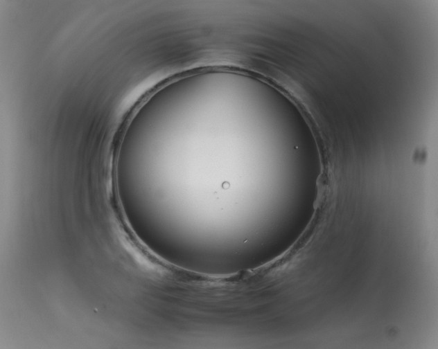 X0000113991127200910021216