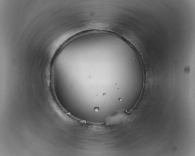 X0000113991128200910021216