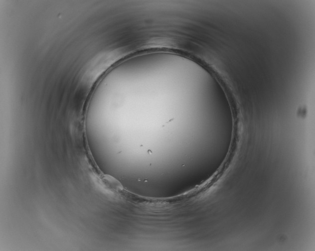 X0000113991129200910021216