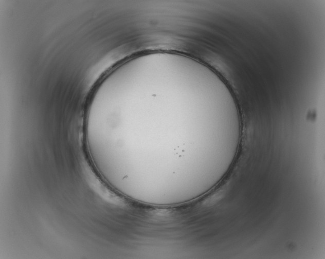 X0000113991130200910021216