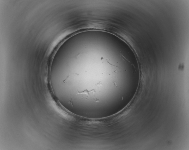 X0000113991131200910021216