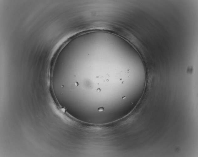 X0000113991132200910021216