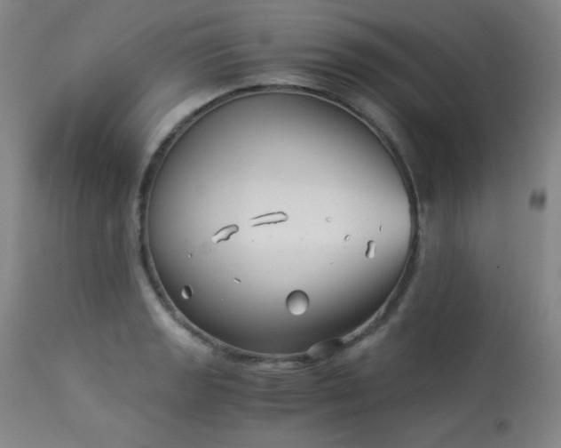 X0000113991133200910021216