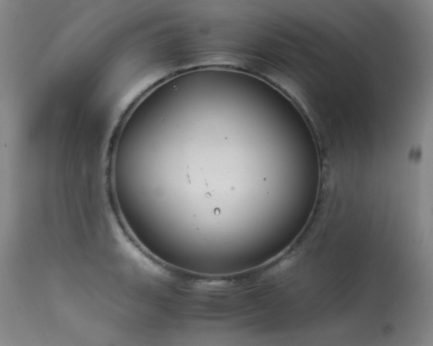 X0000113991135200910021216