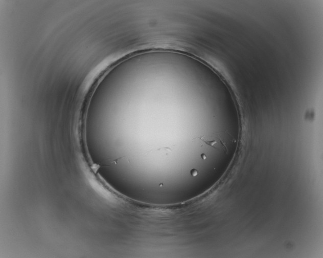 X0000113991136200910021216