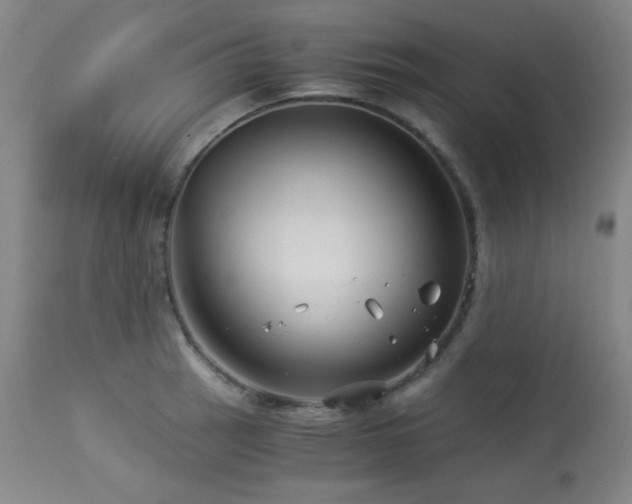 X0000113991137200910021216