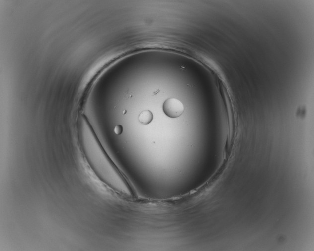 X0000113991138200910021216