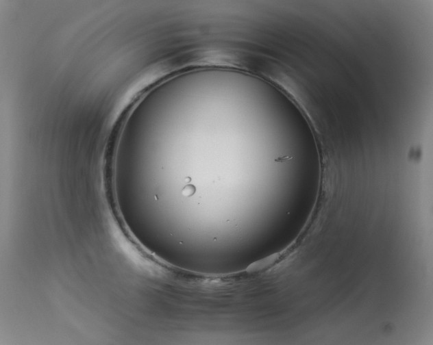 X0000113991139200910021216