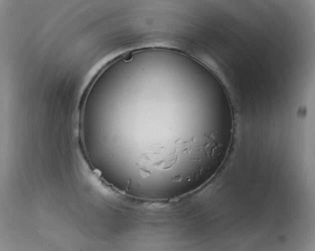 X0000113991140200910021216