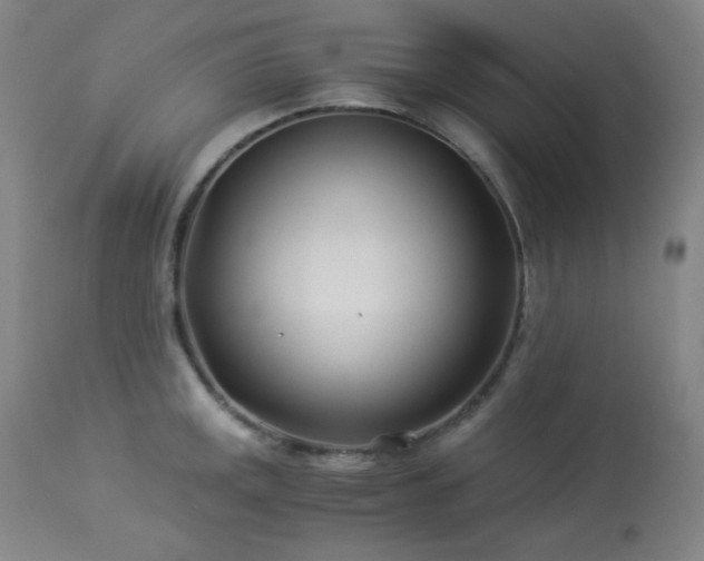 X0000113991141200910021216