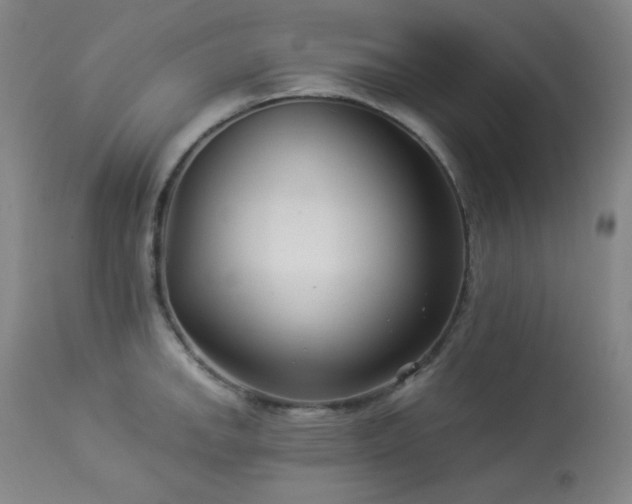 X0000113991142200910021216