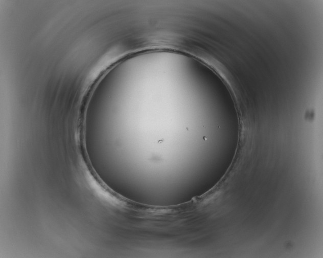 X0000113991143200910021216