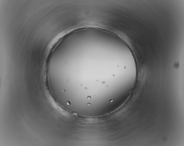 X0000113991144200910021216