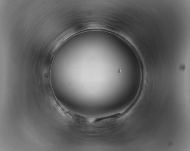 X0000113991145200910021216