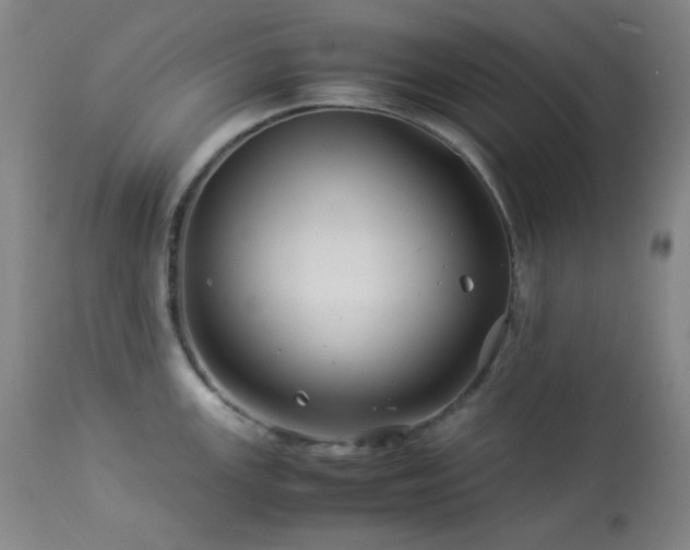 X0000113991147200910021216