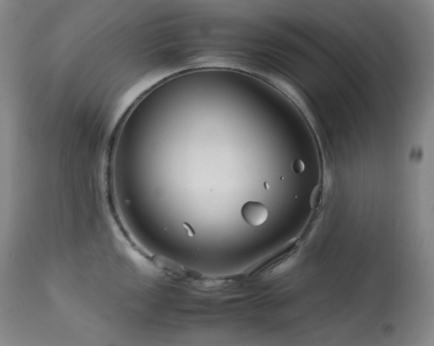 X0000113991149200910021216