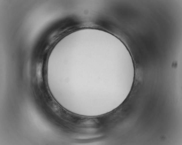 X0000113991150200910021216