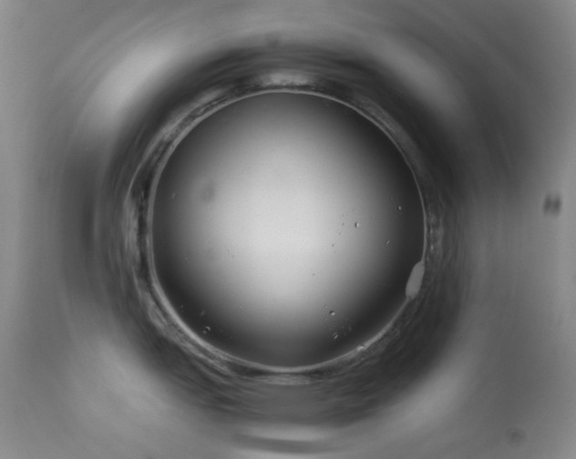 X0000113991151200910021216