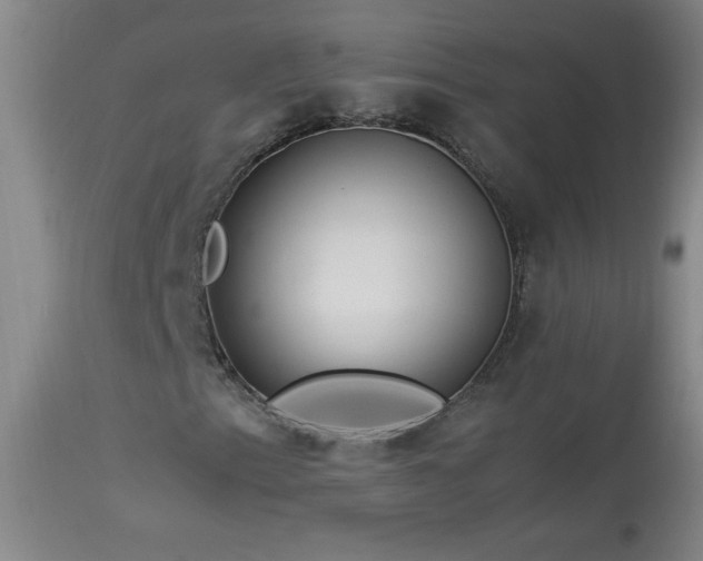 X0000113991153200910021215