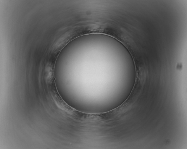 X0000113991154200910021215