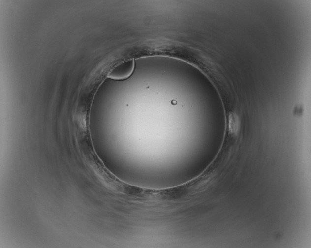 X0000113991155200910021215