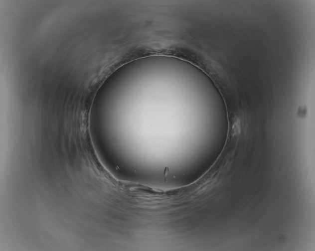 X0000113991156200910021215