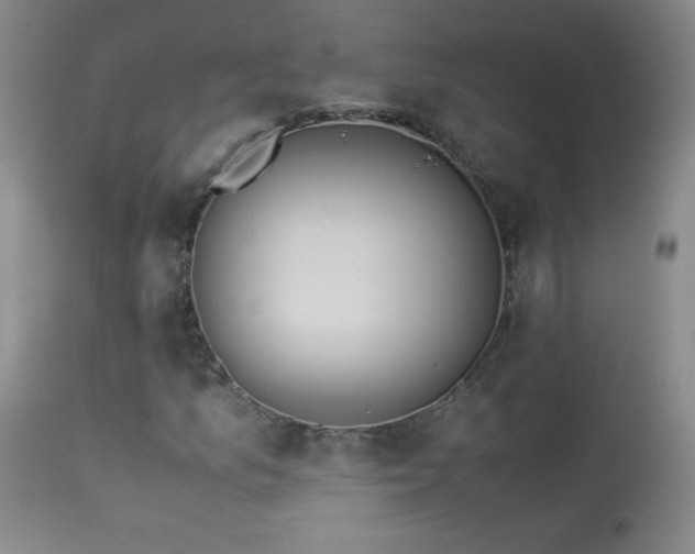 X0000113991157200910021215