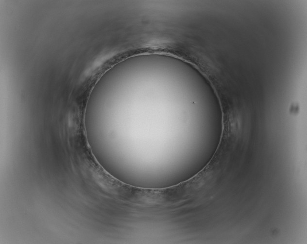 X0000113991158200910021215