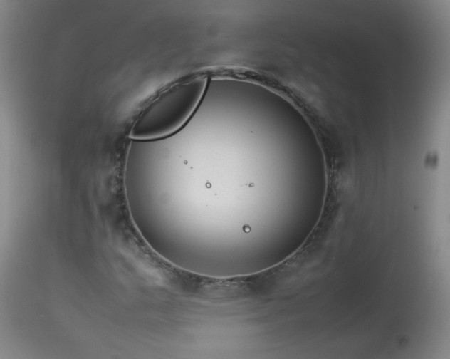 X0000113991159200910021215