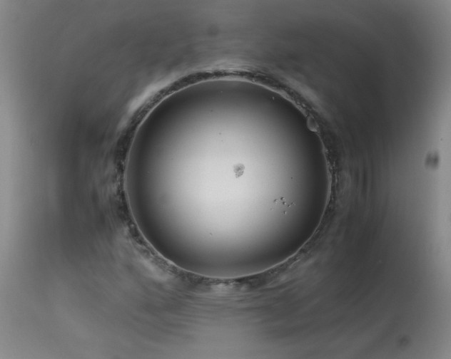 X0000113991160200910021215