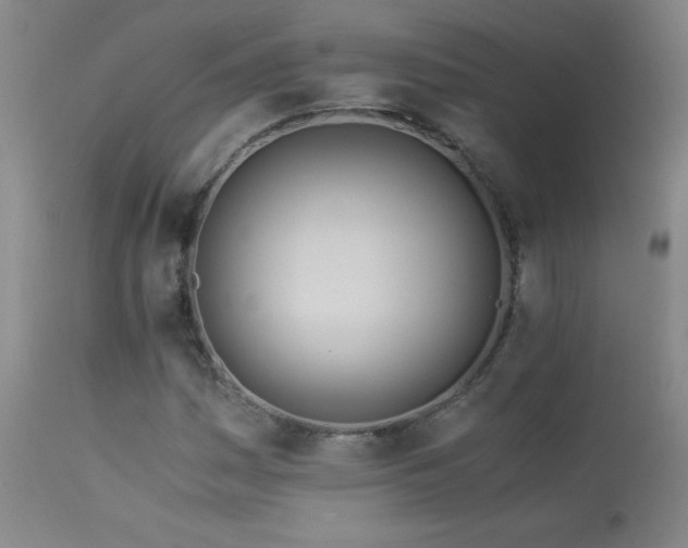 X0000113991161200910021215