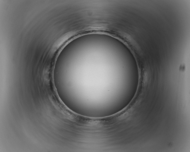 X0000113991162200910021215