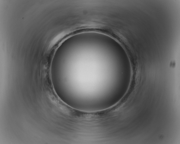 X0000113991163200910021215