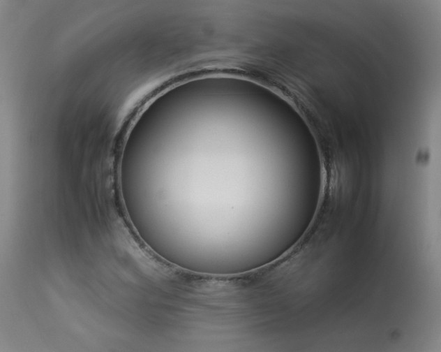 X0000113991164200910021215