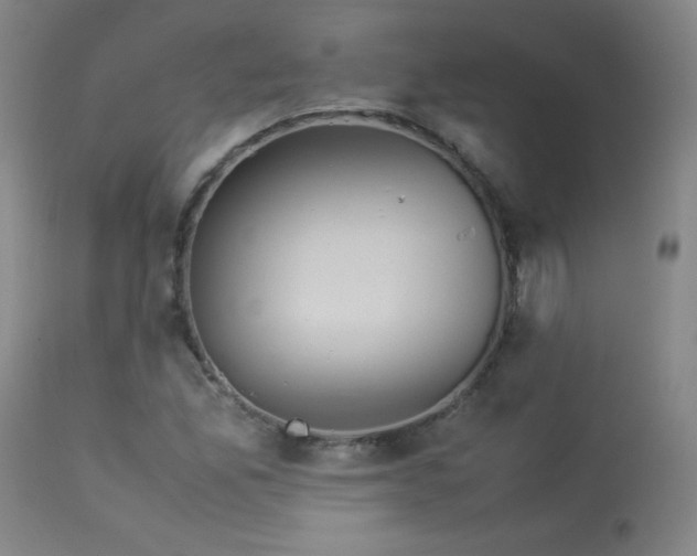 X0000113991165200910021215